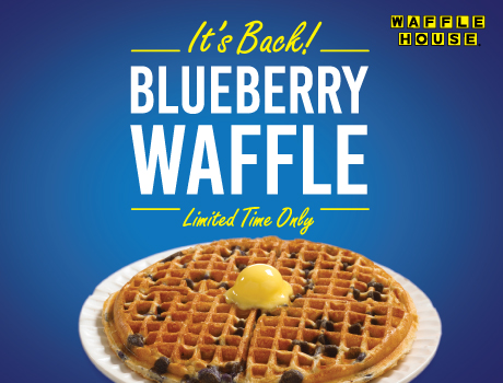 Blueberry Waffle It8217s back